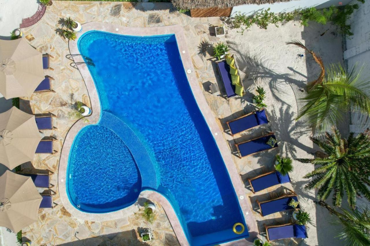 بونجوي Amber Lodge المظهر الخارجي الصورة