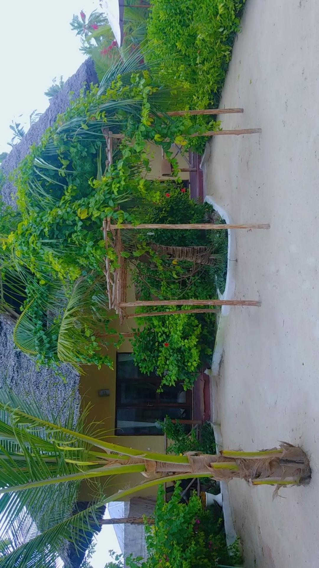 بونجوي Amber Lodge المظهر الخارجي الصورة